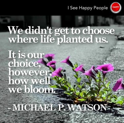 Bloom where you are planted!