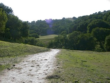 One of many trails in the area.