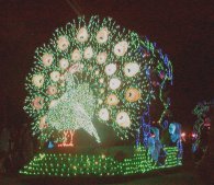 This lighted float is part of the parade at Animal Kingdom. All parks have parades at different times.