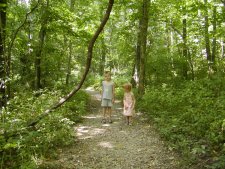 Our grandchildren walk in the Kentucky woods.