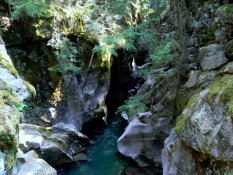 A Sprague Creek has made an amazing gorge through solid rock!