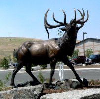 The statue at the entry to the Rocky Mountain Elk Foundation.