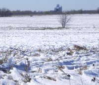 The fields around my old home farm were covered in snow.