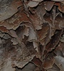 This is one of may areas of boxwork formations in the cave.