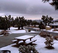 One morning we awoke to snow falling in our campground.