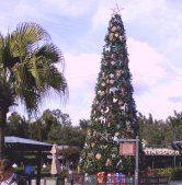 The Christmas tree at Animal Kingdom.