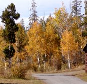 Fall brought on the beauty of  bright colors around the ranch.