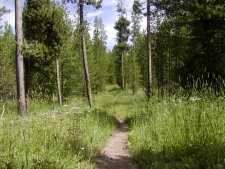 There are miles of trails through forest, medows and by lakes and streams.