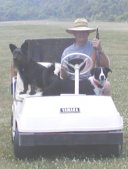 Muffie & Ace were always ready to ride along in the golf cart.