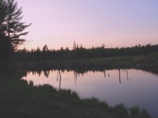 Sunset over Mcrae Pond on the HQ Loop Trail.