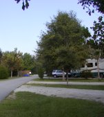 The park is quite large and well developed with a very attractive campground.