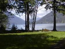 view of lake through trees