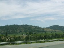 There are miles and miles of fruit orchards along the road to Leavenworth.