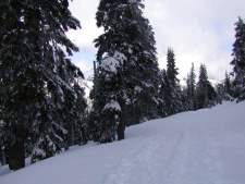 Cross country ski trail at Hurricane Ridge.