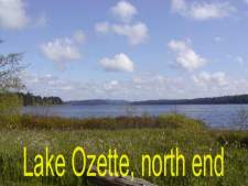 Lake Ozzette, north end