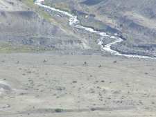 The lower valley, below the volcano. The great flood created by the melting snow and ice when the mountain blew up washed the rock there. Notice the scattered Elk in the valley.