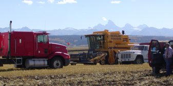 Spring wheat is harvested in Idaho in late September.