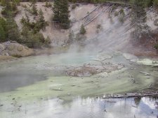 This is a view of the Noris Geyser Basin. (click to see Middle Geyser Basin)